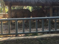 -石家庄市动物园