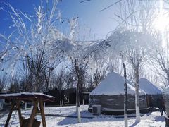 -九十九顶毡房(阜石路店)