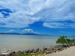 -深圳湾公园(南山区)