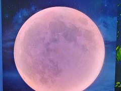 -天津梵高星空艺术馆(天河城旗舰店)