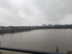 -美的鹭湖森林度假区