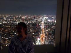 -六本木新城展望台(东京城市景观)