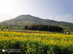 -八卦田遗址公园