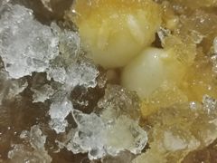 -星鸿社重庆老火锅