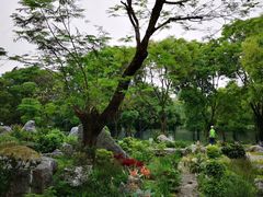 -东莞植物园