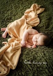 -菲啦城堡高端儿童摄影会所(武夷商业城店)