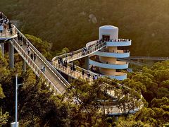 -八婆婆烧仙草(中山路店)