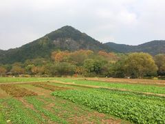 -八卦田遗址公园