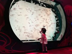 -沈阳海洋探索中心