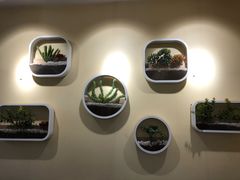 -安悦煎饼(河北店)