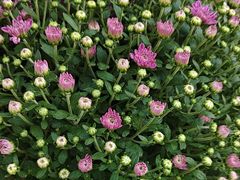 -秦扬居特色菜馆(上王村)