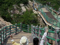 -广东惠东海龟国家级自然保护区
