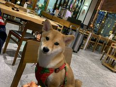 -秋木烤肉·韩国牛肉名家(高新旗舰店)