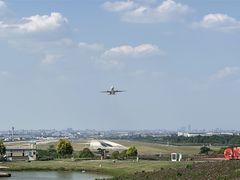 -空港花田景区