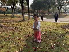 -白塘生态植物园