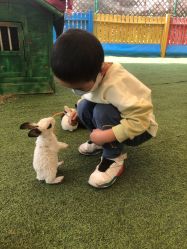 -萌宠亲子动物乐园(槐房万达店)