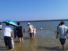 -碧海金沙