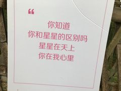 -宁波浙东大竹海景区