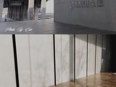 -龙美术馆(西岸馆)