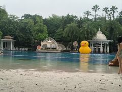 -东莞塘厦三正半山温泉酒店·沙利文西餐厅