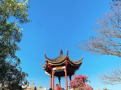 -顺峰山公园