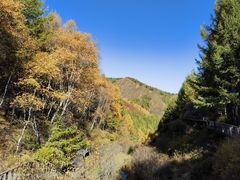 -苏木山森林公园