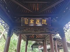 -上海佘山国家森林公园天马山园