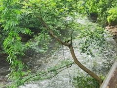 -阿哈湖国家湿地公园