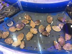 -澜悦港海鲜体验主题餐厅