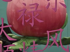 -ZARA(大上海时代广场店)
