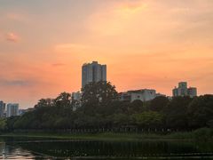 -南宁南湖公园