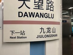 -大望路(地铁站)