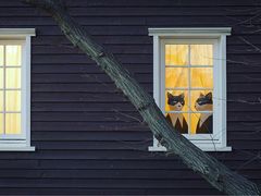 -三鹰之森吉卜力美术馆