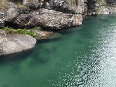 -石台牯牛降景区