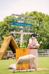 -七色田儿童摄影(静安店)