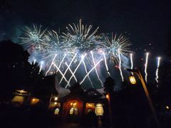 -Tangled Tree Tavern 老藤树食栈