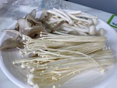 -一代菌王·竹荪鹅(江苏旗舰店)