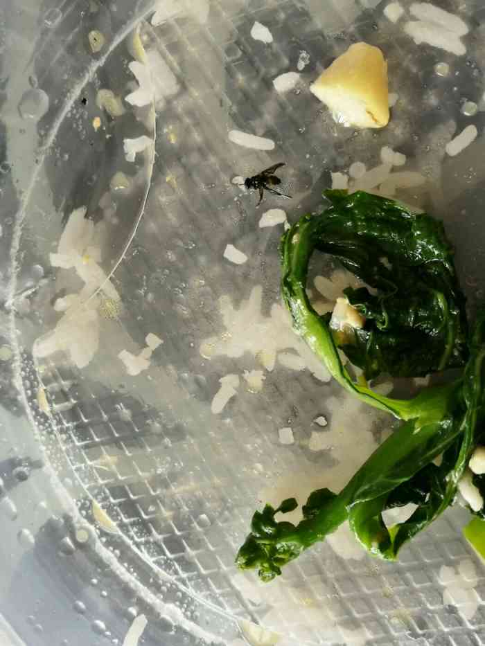 打分 外卖吃到了苍蝇,还能更差劲么,以前吃的都想吐出来