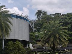 -圣淘沙天际线斜坡滑车