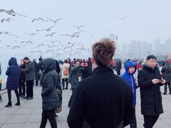 -星海湾跨海大桥