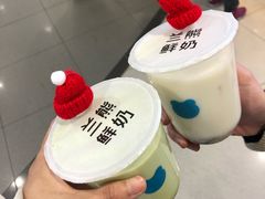 前男友-兰熊鲜奶(西直门凯德mall店)