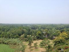 iphone_upload_pic-中国湿地博物馆