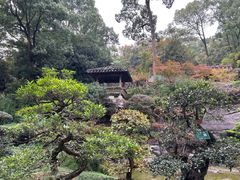 -南山植物园