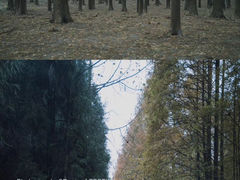 -山王坪喀斯特国家生态公园