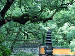 -普陀山风景名胜区-法雨禅寺