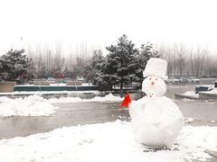 -大兴滨河森林公园