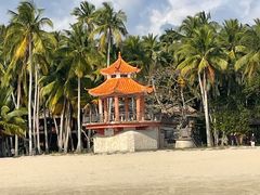 -东郊椰林