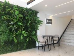 -B-BEAUTY童颜皮肤管理中心