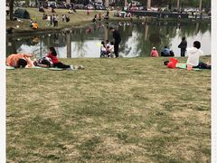 -两河城市森林公园