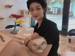 -momokira米努特·德文卷毛猫·棉花面纱犬